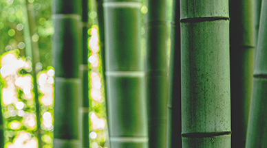 Embrace Sustainable Style with Bamboo Fiber Fabrics